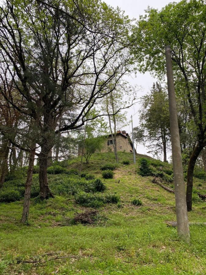 Naturemugello Oasi Naturista Dicomano ภายนอก รูปภาพ