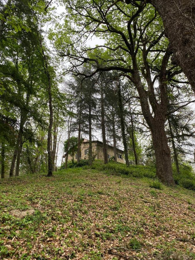 Naturemugello Oasi Naturista Dicomano ภายนอก รูปภาพ